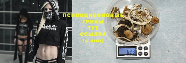 прущая мука Елизово