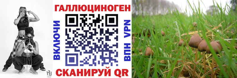 где продают наркотики  Ишимбай  Галлюциногенные грибы мухоморы 
